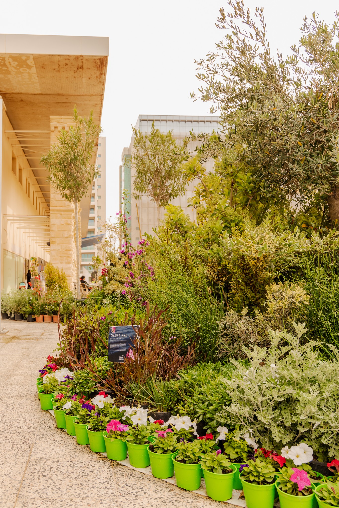The Point Urban Oasis: A community green space in Tigne Point
